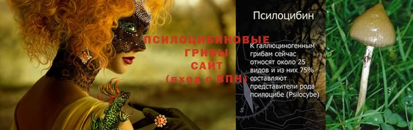 хмурый Алексин