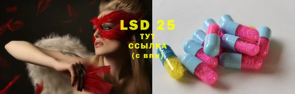 шишки Алексеевка