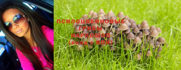 спайс Алзамай