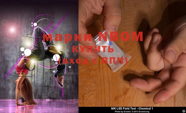 хмурый Алексин
