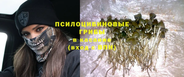 хмурый Алексин