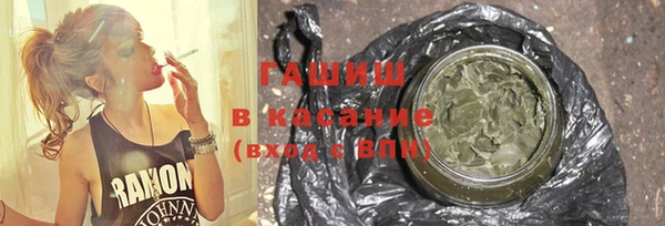 хмурый Алексин