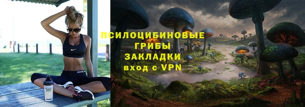 хмурый Алексин