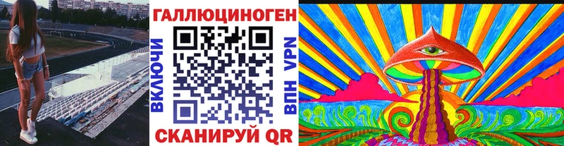 закладки  Межгорье  Псилоцибиновые грибы Psilocybe 